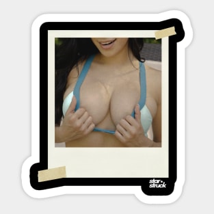 Polaroid boobie art Sticker